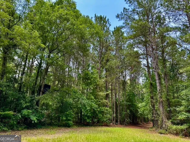 $748,984 | 0 Jim Pruett Road, Eastman, GA 31023