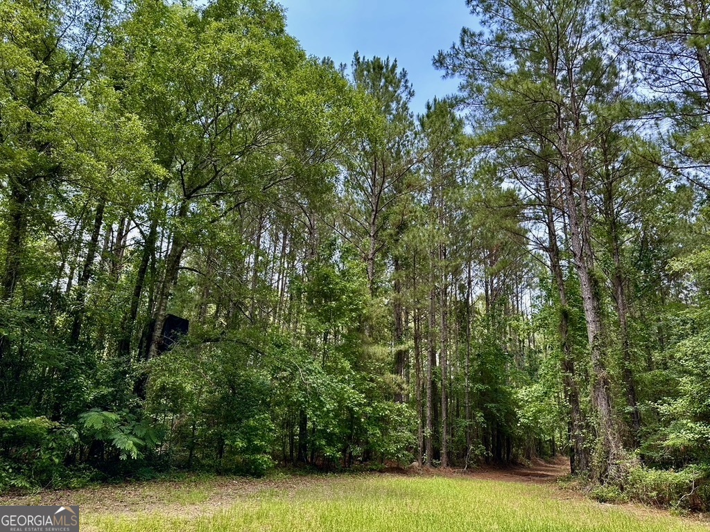 0 Jim Pruett Road Eastman, GA 31023 - Photo 72 of 78 a view of a swimming pool and trees in the background