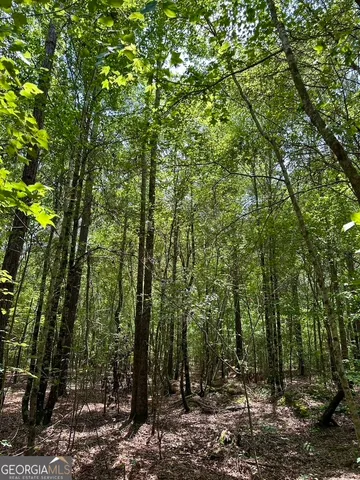 $748,984 | 0 Jim Pruett Road, Eastman, GA 31023