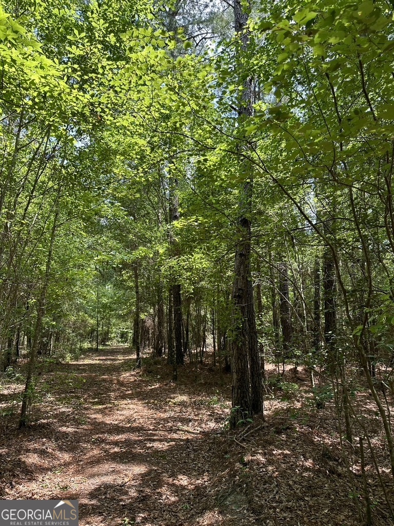 0 Jim Pruett Road Eastman, GA 31023 - Photo 74 of 78 a view of outdoor space and yard