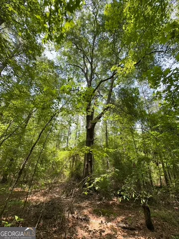 $748,984 | 0 Jim Pruett Road, Eastman, GA 31023