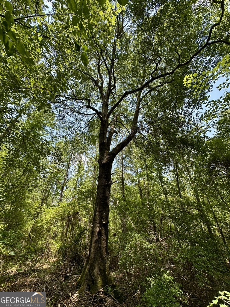 0 Jim Pruett Road Eastman, GA 31023 - Photo 76 of 78