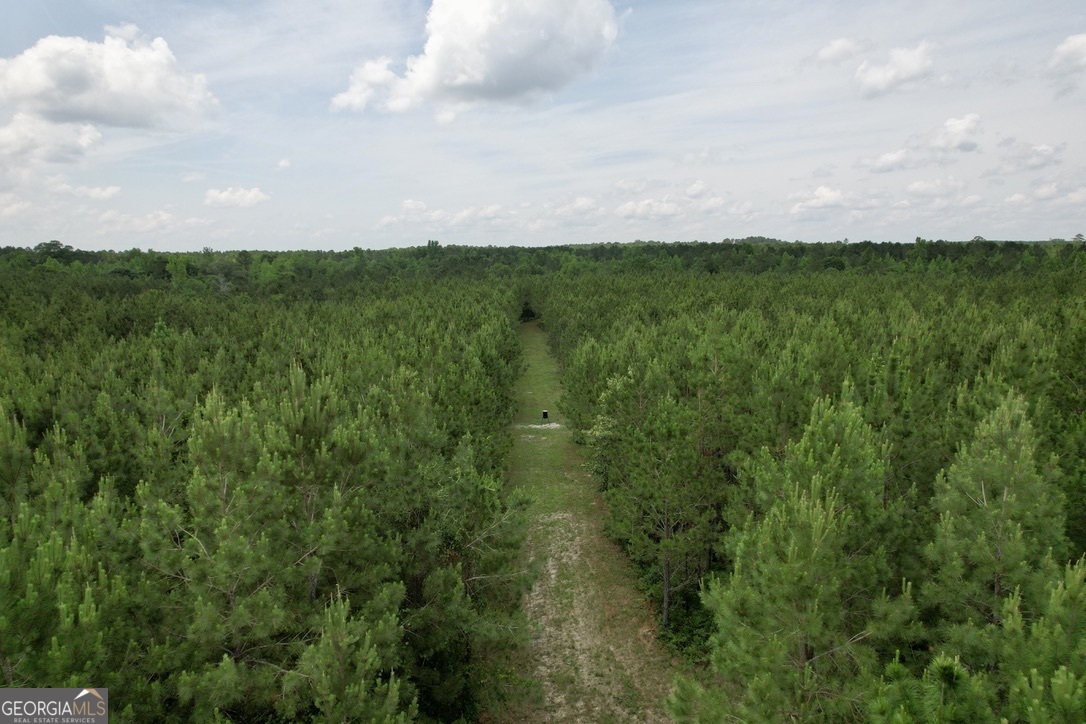 0 Jim Pruett Road Eastman, GA 31023 - Photo 77 of 78