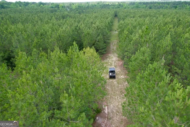 $748,984 | 0 Jim Pruett Road, Eastman, GA 31023