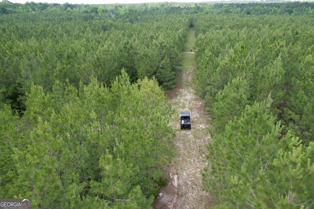 0 Jim Pruett Road Eastman, GA 31023 - Photo 78 of 78 a view of a lush green forest with trees and some plants