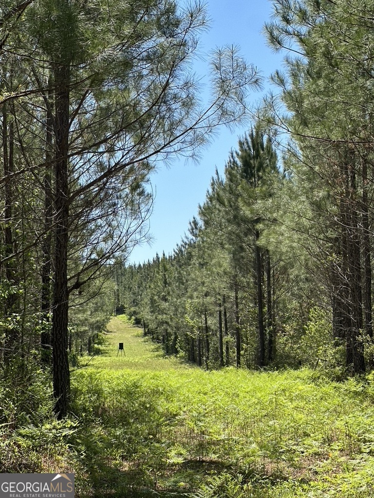 0 Jim Pruett Road Eastman, GA 31023 - Photo 8 of 78