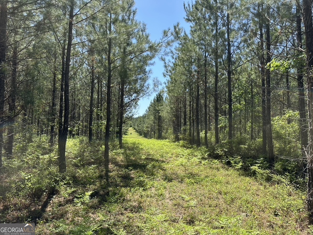 0 Jim Pruett Road Eastman, GA 31023 - Photo 10 of 78