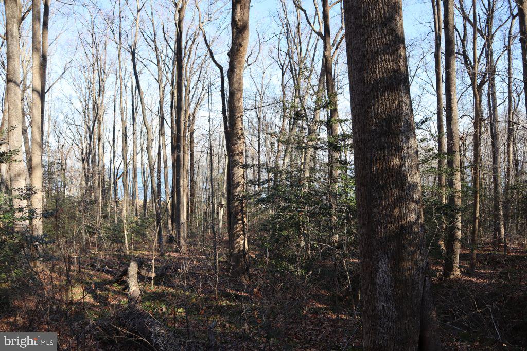 Mt Prospect Road Laneview, VA 22504 - Photo 7 of 10