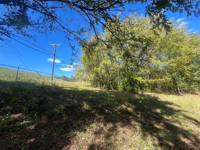 a view of a forest with trees