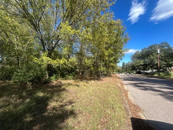 a view of a dirt road with trees in the background