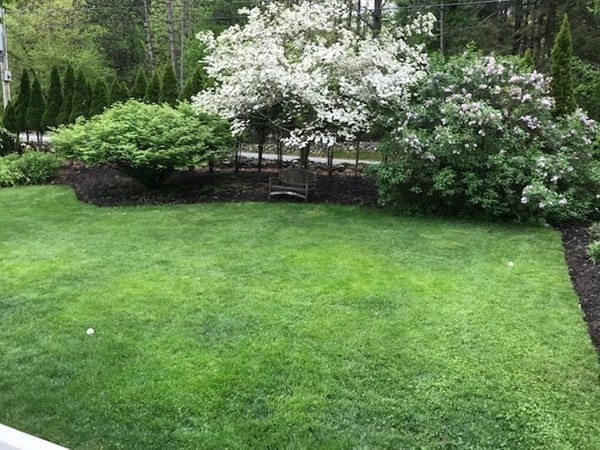 332 Lower Hampden Road Monson, MA 01057 - Photo 26 of 30 a view of yard with green space