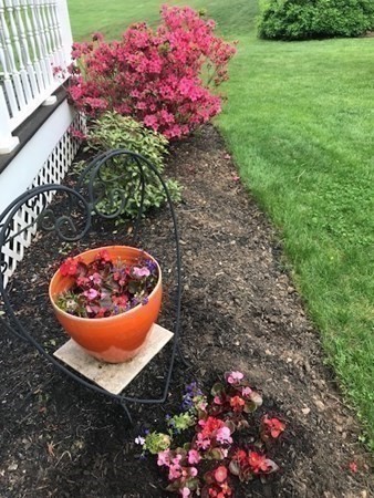 332 Lower Hampden Road Monson, MA 01057 - Photo 29 of 30 a view of a flowers in a garden