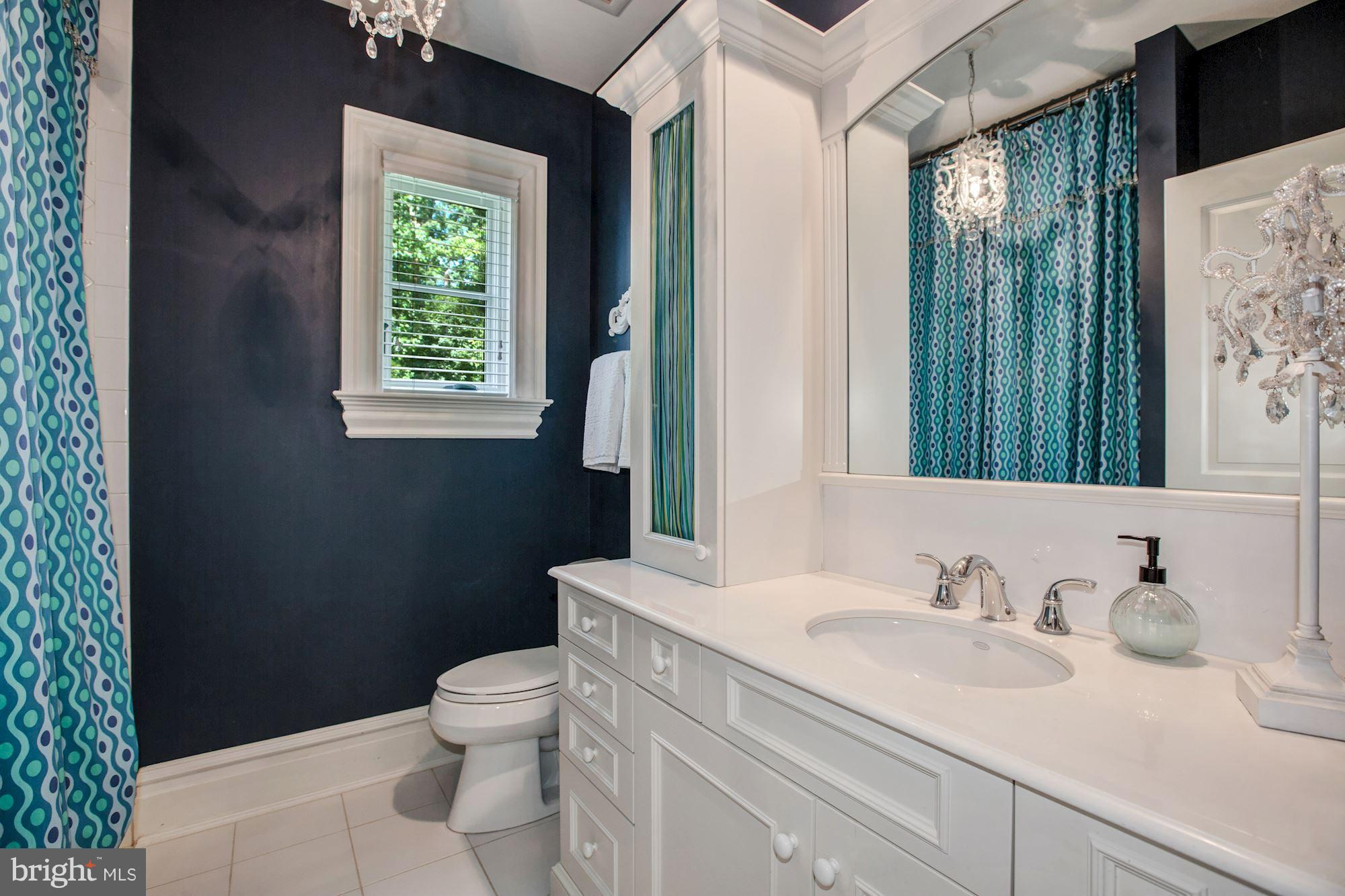 1004 Founders Ridge Lane McLean, VA 22102 - Photo 17 of 30 Bath