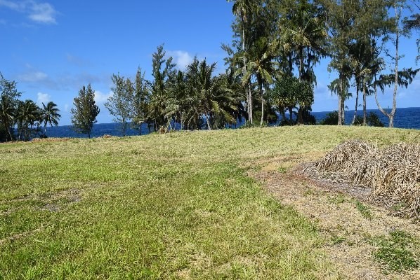 24 Lot Pepeekeo, HI 96783 - Photo 16 of 18