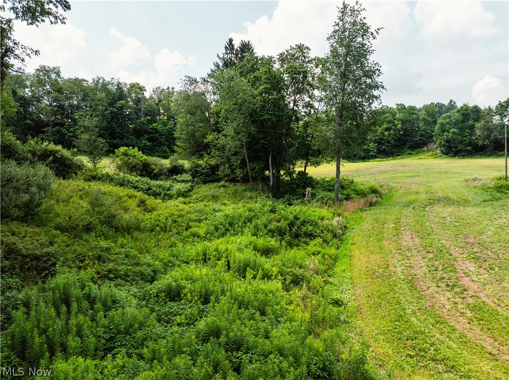 85 Township Road Baltic, OH 43804 - Photo 42 of 48