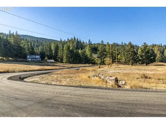 a view of a swimming pool with a yard