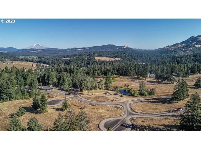 a view of a backyard with a tub