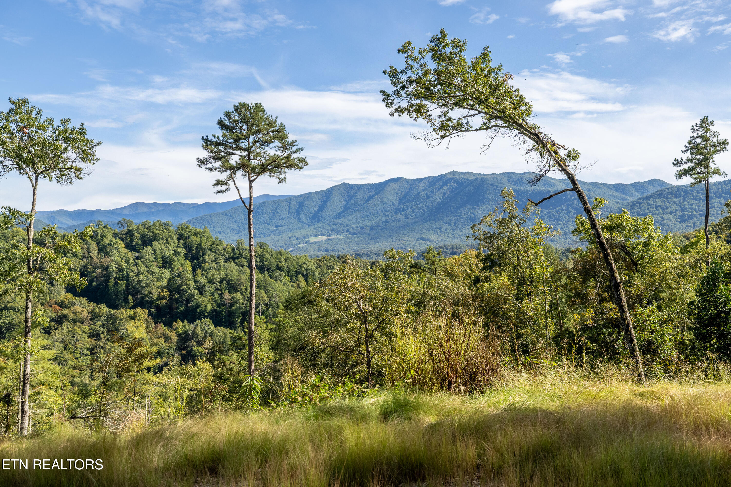 View from Building Site