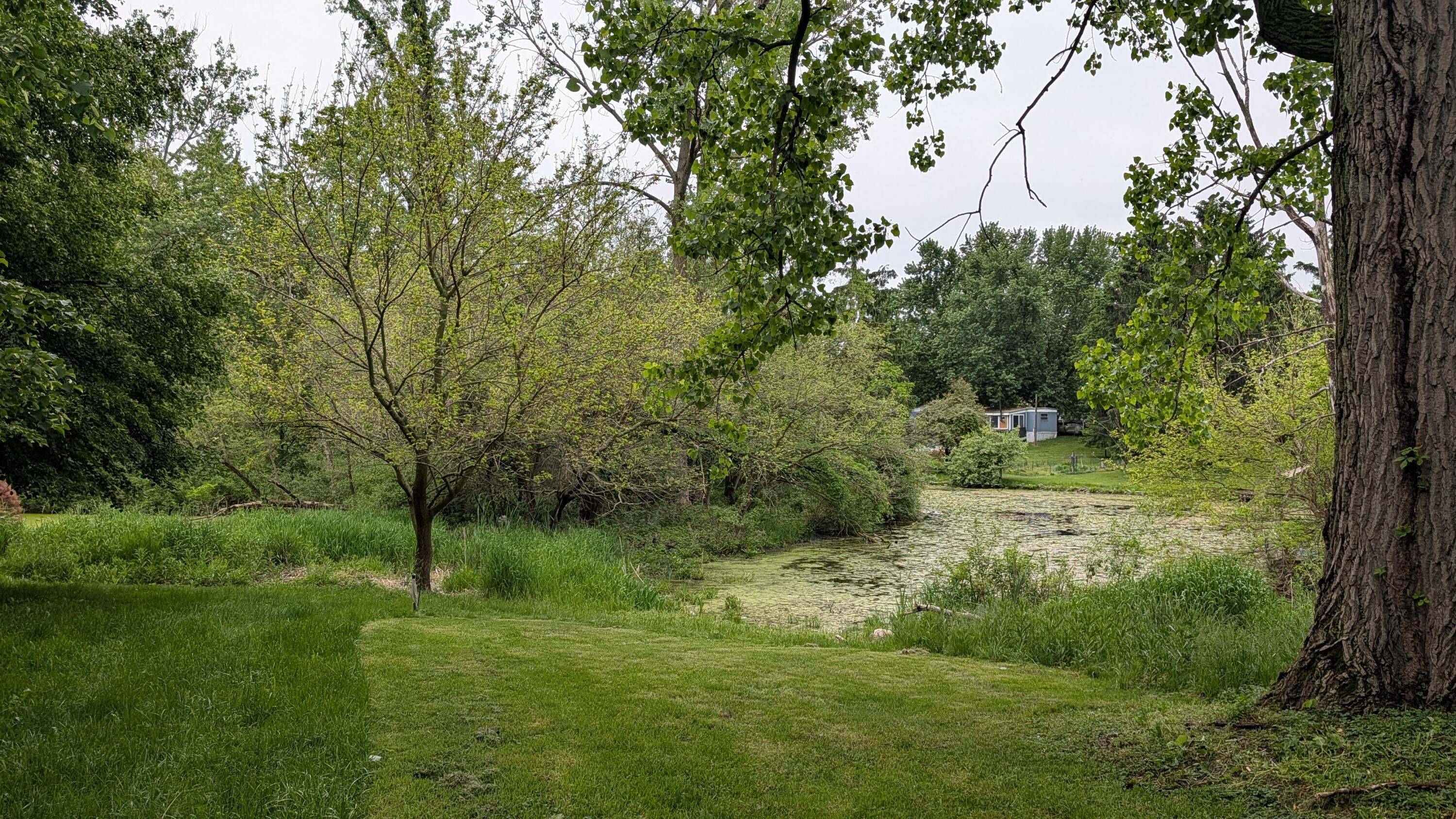 121 West Adams Road Bronson, MI 49028 - Photo 10 of 11 13405