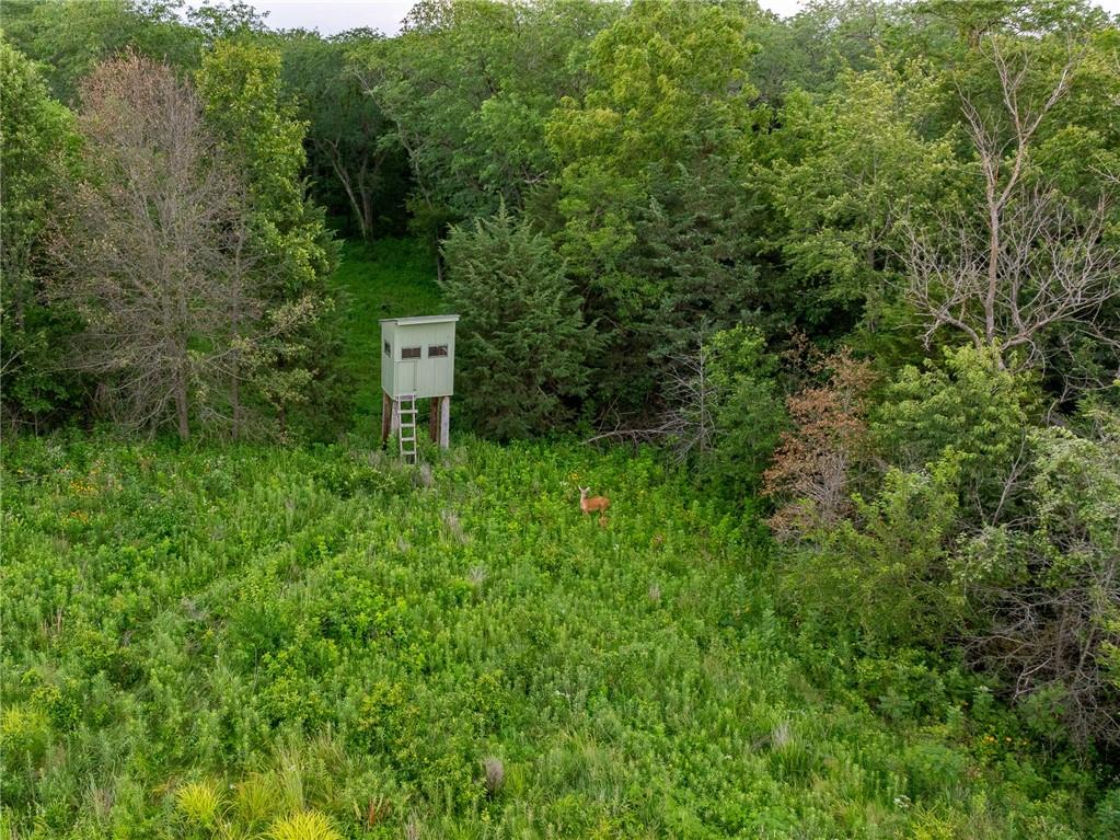 12307 Crescent Road Gilman City, MO 64642 - Photo 36 of 63