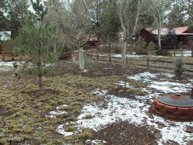 2321 Buffalo Loop Overgaard, AZ 85933 - Photo 17 of 20 DSC04056