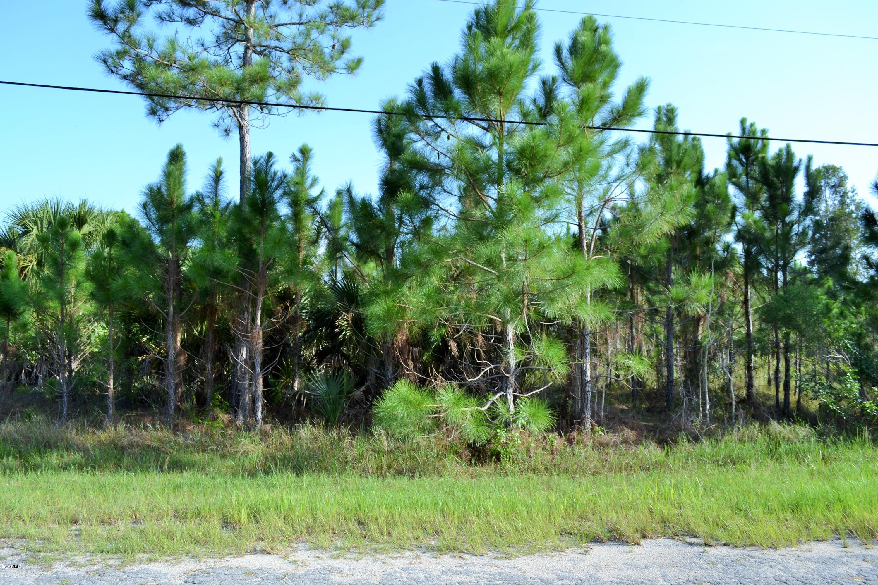 238 Haines Road Southwest Palm Bay, FL 32908 - Photo 2 of 4 DSC_0003