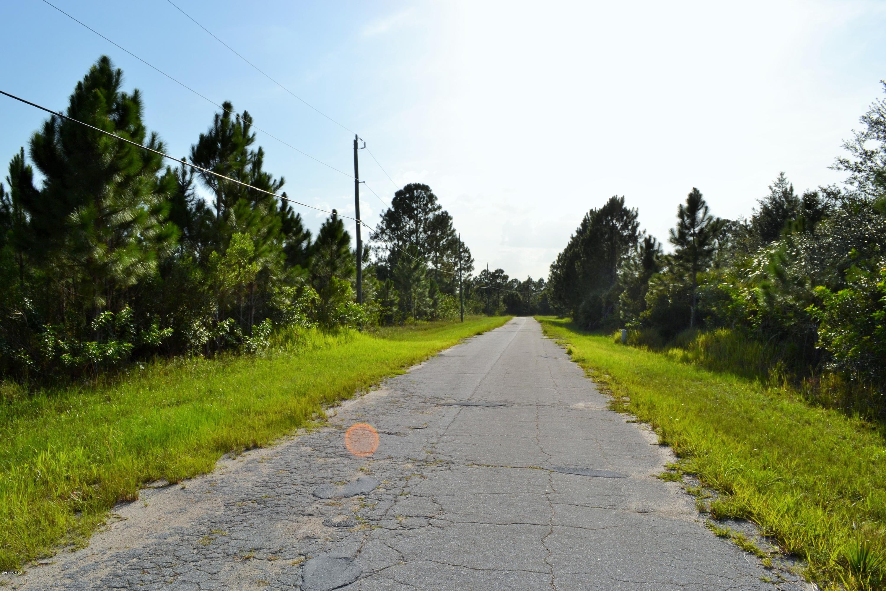 238 Haines Road Southwest Palm Bay, FL 32908 - Photo 3 of 4 DSC_0001