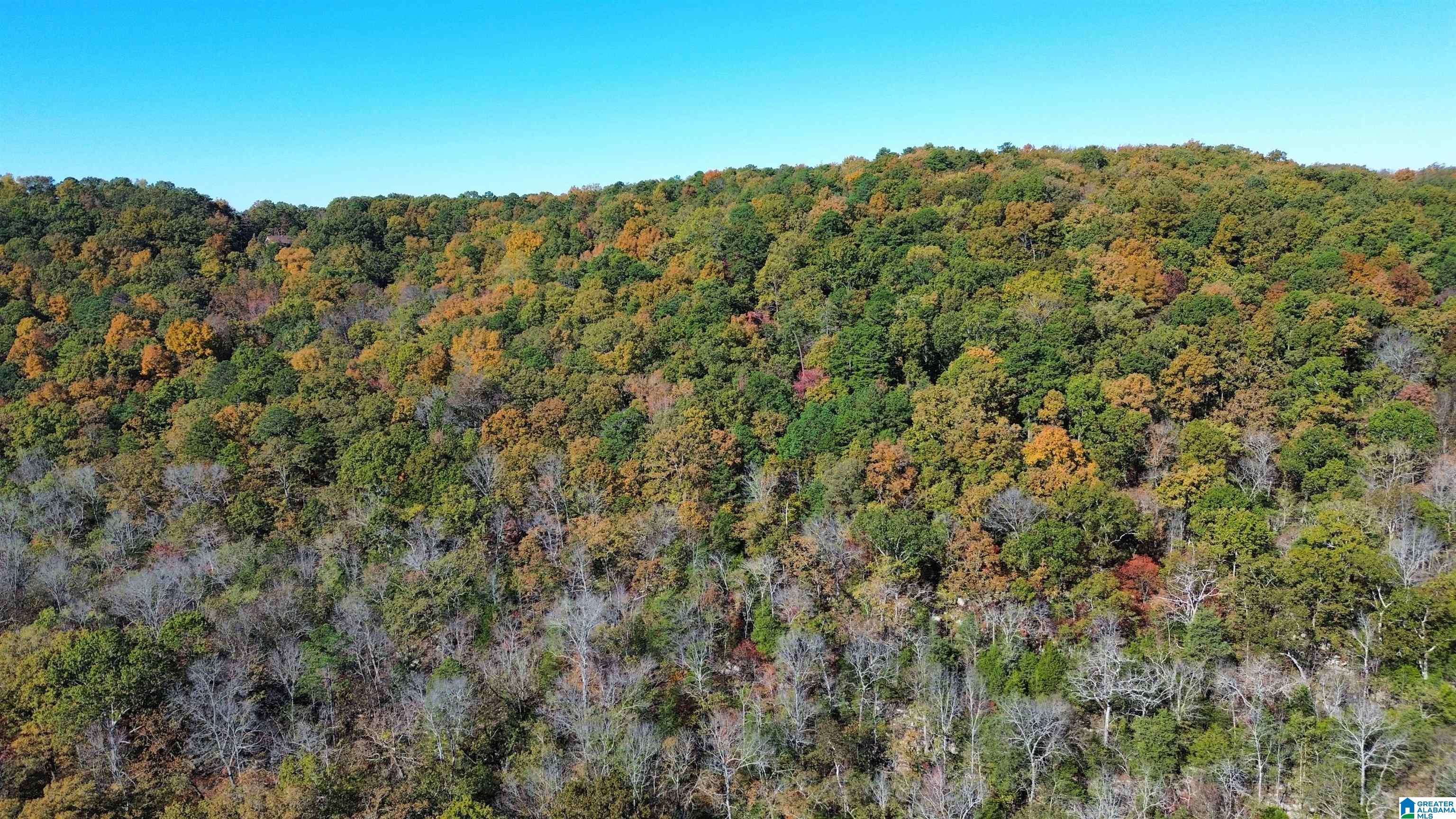 0 Mill Creek Road, Unit 20 Warrior, AL 35180 - Photo 5 of 17
