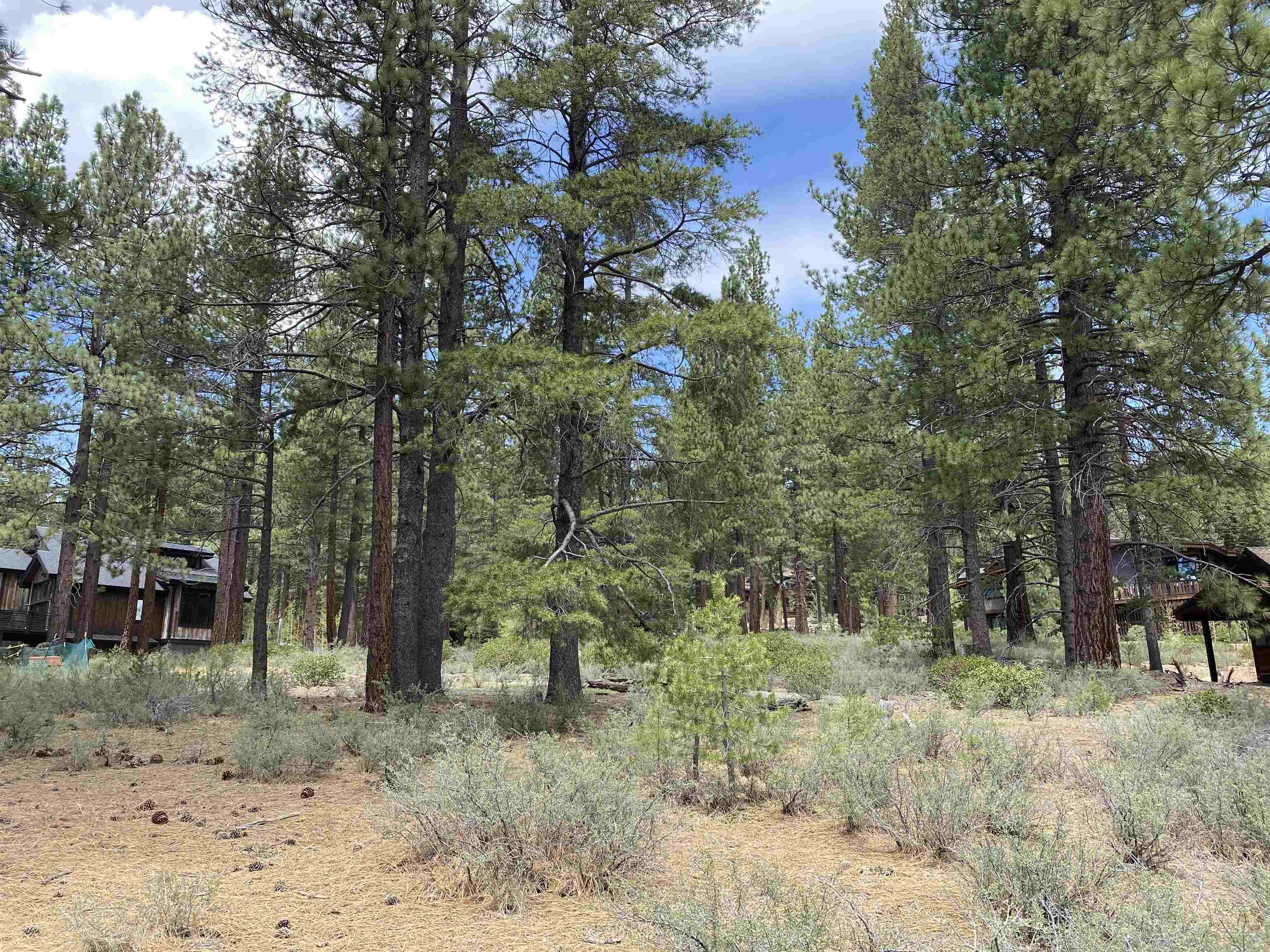 11500 Ghirard Road Truckee, CA 96161 - Photo 13 of 20 Gallery Image 13