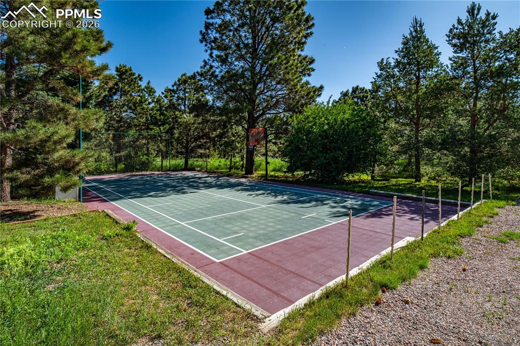 17815 Saddlewood Road Monument, CO 80132 - Photo 8 of 41