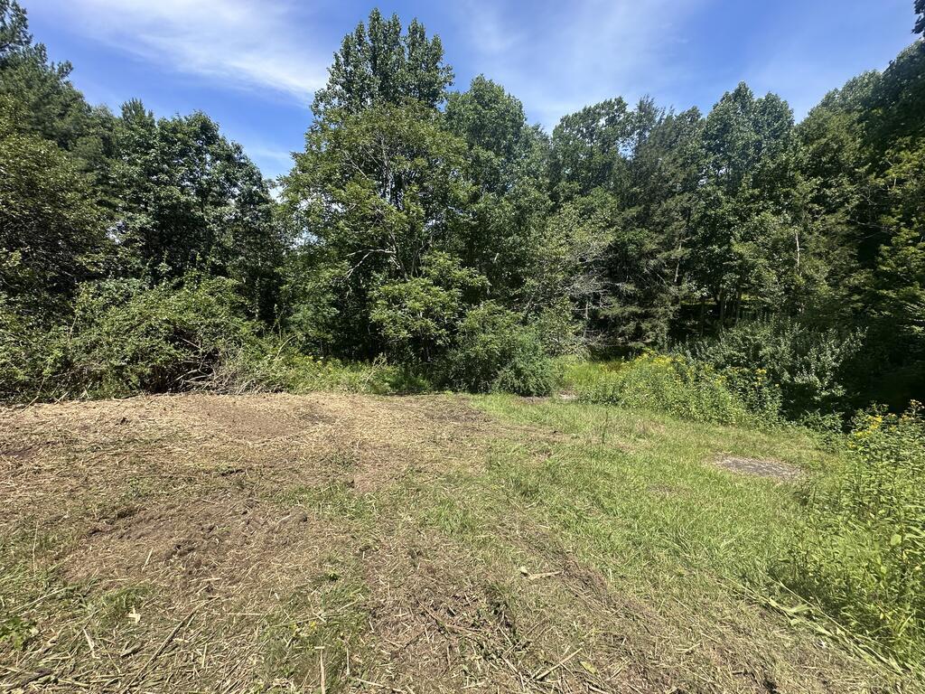 1299 Vista Road Independence, VA 24348 - Photo 2 of 23 Gallery Image 2