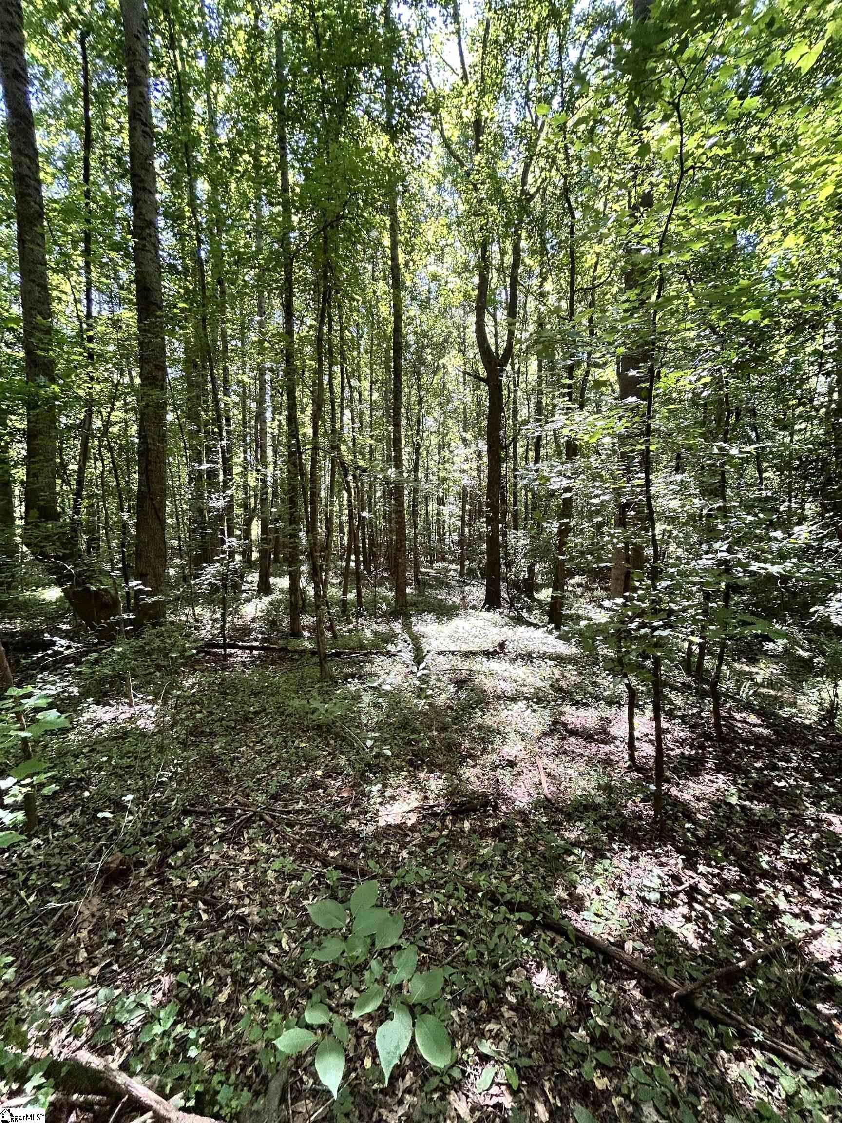 12 Sc - 413 Highway Anderson, SC 29621 - Photo 12 of 13