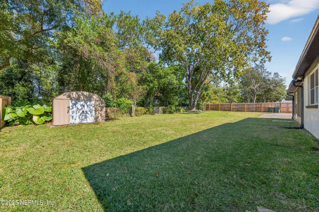 a view of a field with a tree