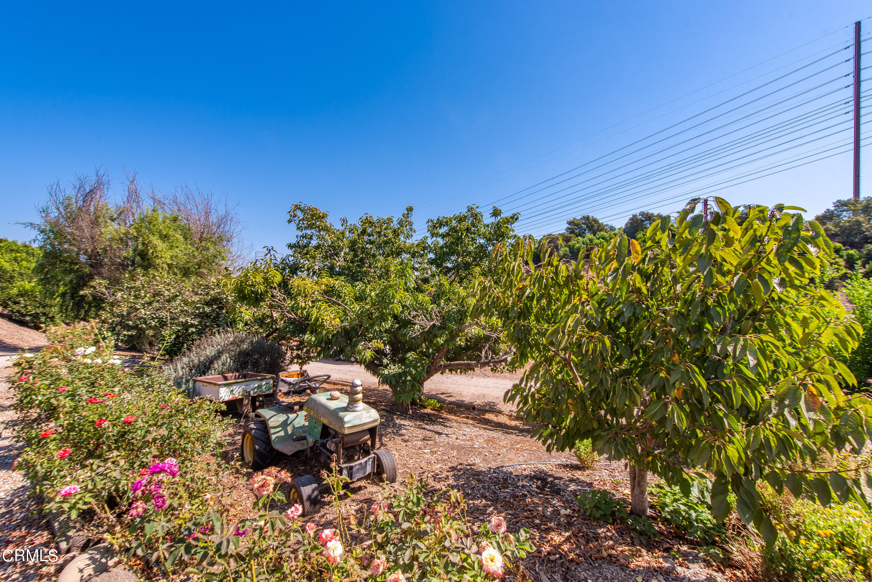 0 Chaucer Moorpark, CA 93021 - Photo 36 of 45 a backyard of a house with lots of green space and garden
