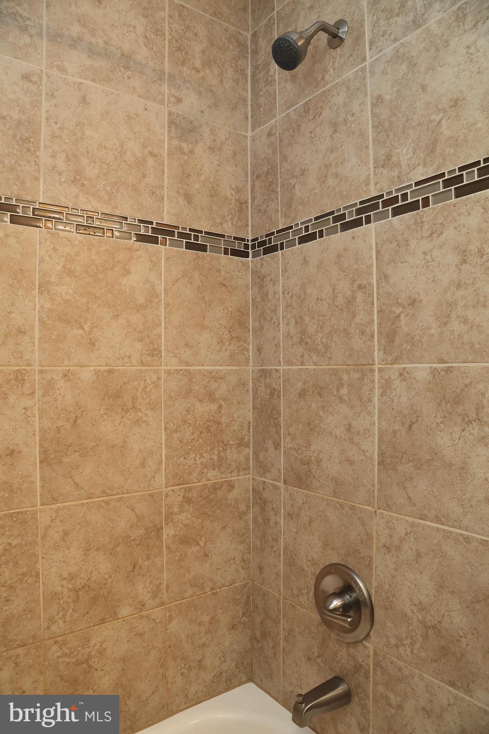 1353 Horning Road Denver, PA 17517 - Photo 17 of 20 Main Bath - Walk in Shower/Tub
