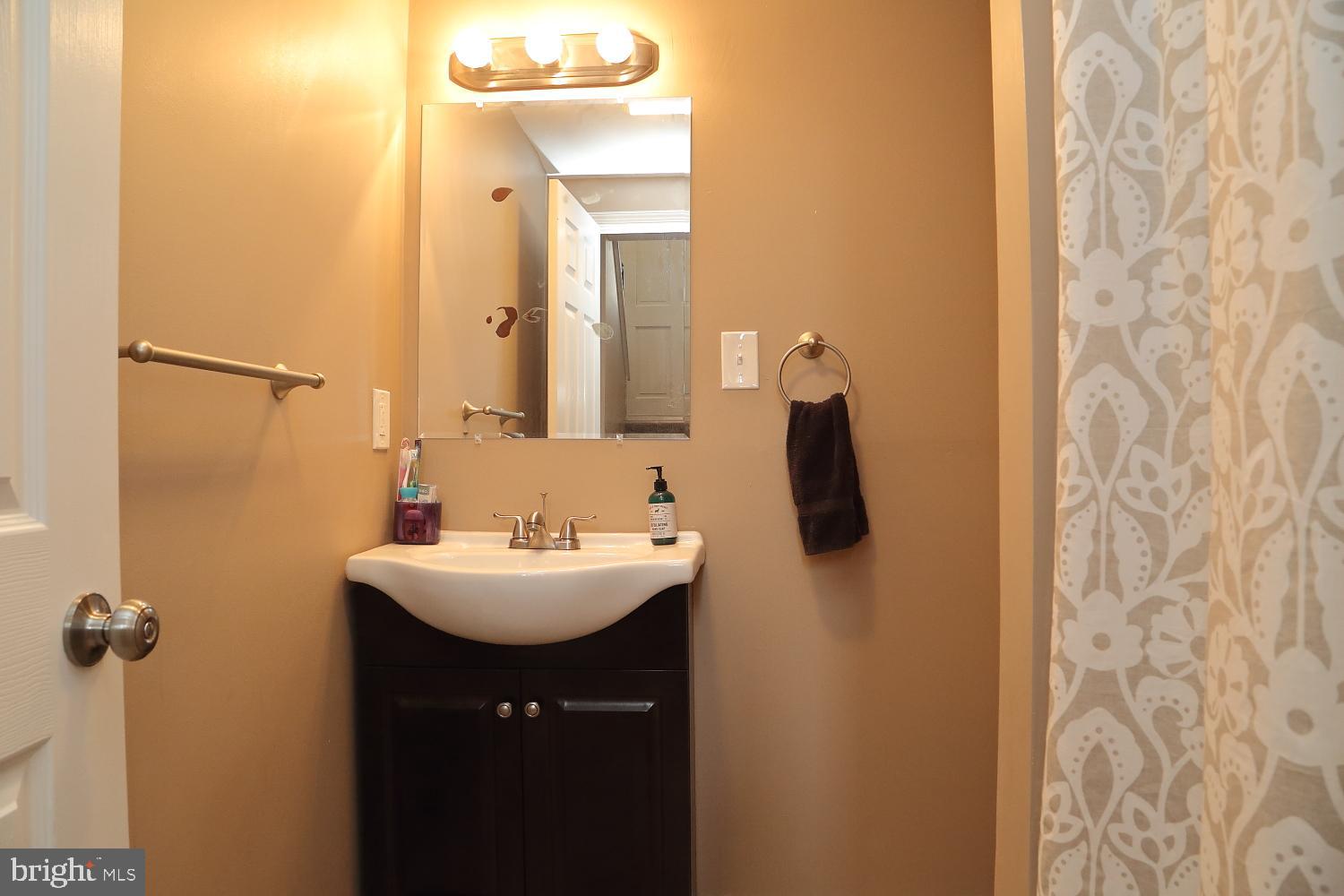 1353 Horning Road Denver, PA 17517 - Photo 18 of 20 Bath 2 - Lower Level with shower