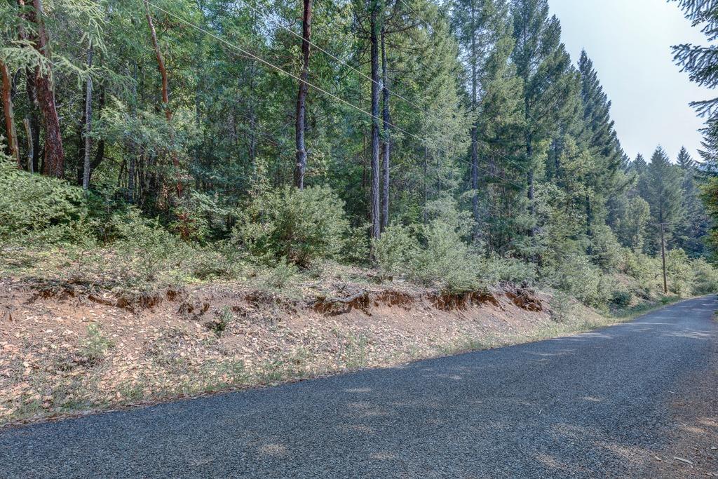121 Thompson Creek Road Selma, OR 97538 - Photo 8 of 9 Additional Photo