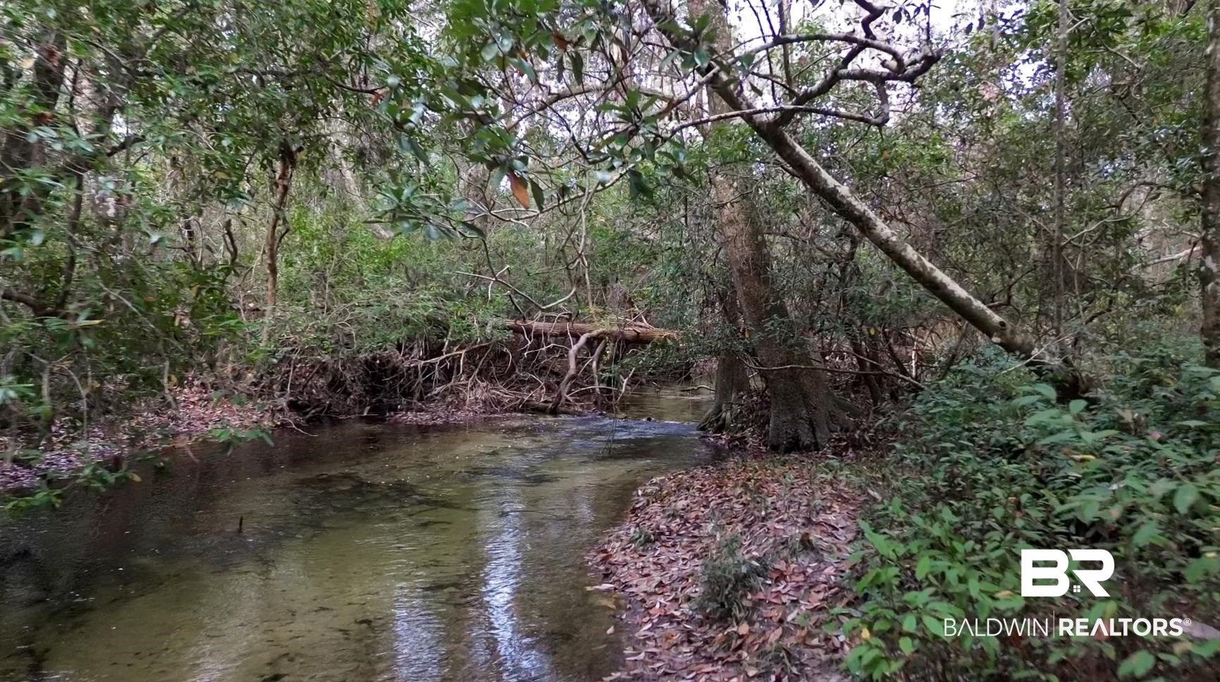 22711 Highway 98 Foley, AL 36535 - Photo 66 of 74 Water view featuring a forest