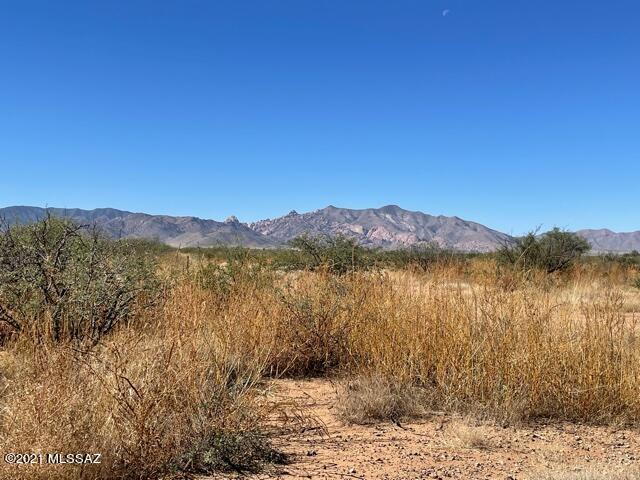 Highland Road Pearce, AZ 85625 - Photo 5 of 24