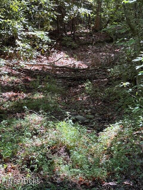 Lot 4 Old Furnace Road Tellico Plains, TN 37385 - Photo 5 of 13 5