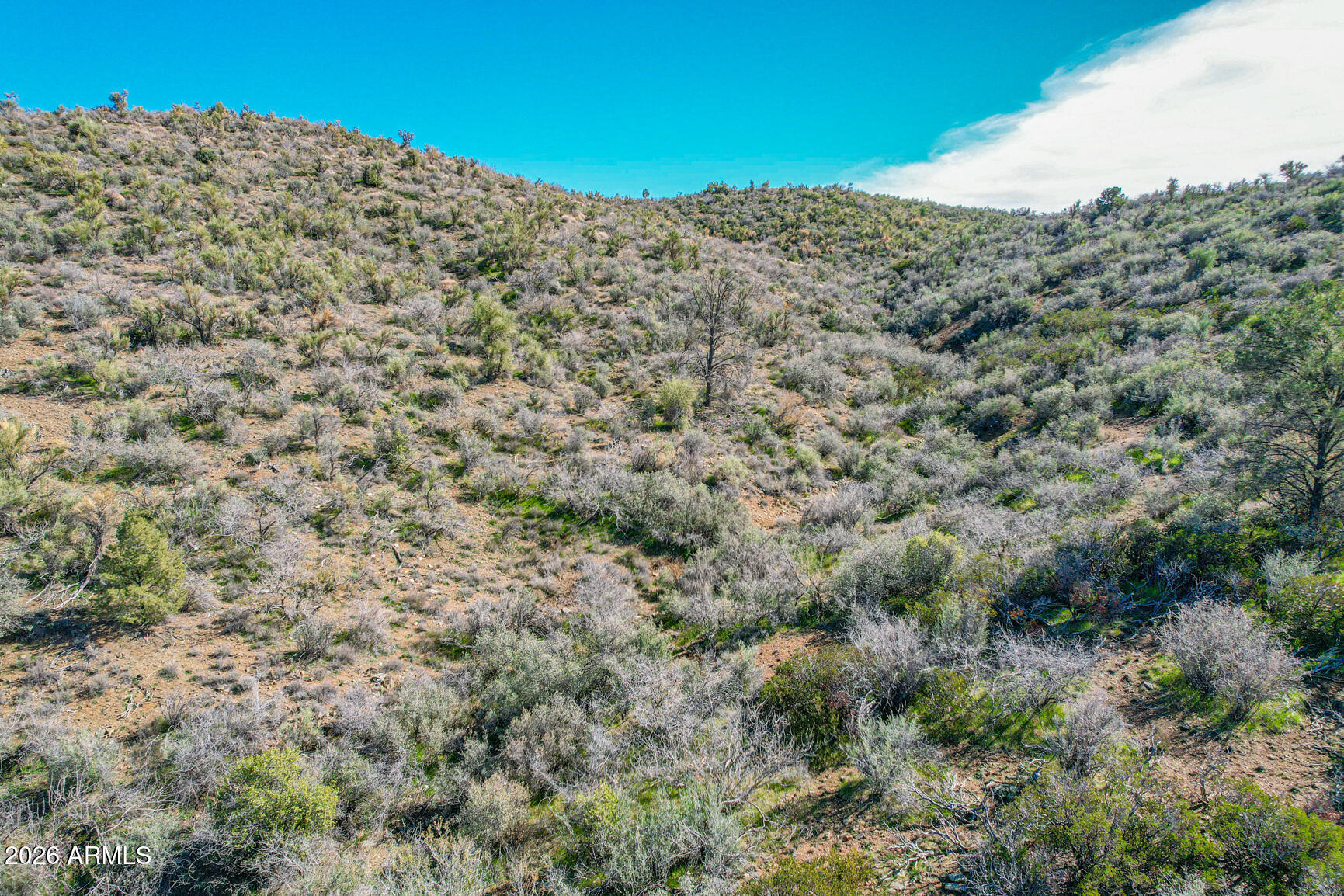 Xxx South Ruger Ranch Road, Unit 193 Kirkland, AZ 86332 - Photo 9 of 12 DJI_0600