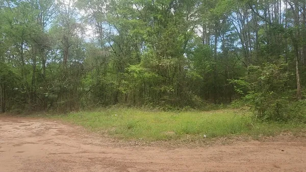 $30,000 | Lot 6 Thornwood Drive, Plantersville, TX 77363