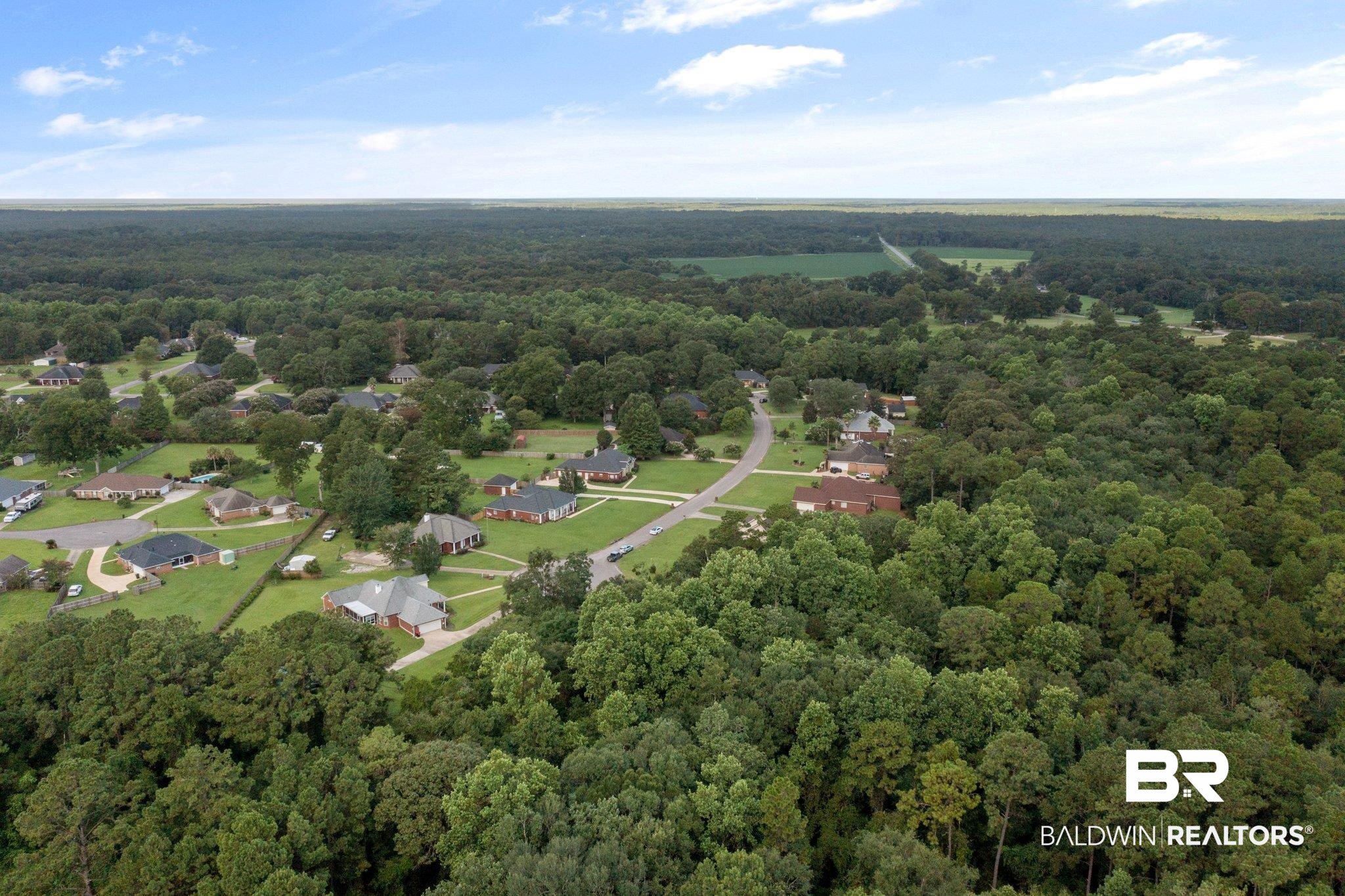 12398 Branson Road Mobile, AL 36695 - Photo 39 of 42