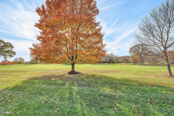 a view of an outdoor space with a lake view