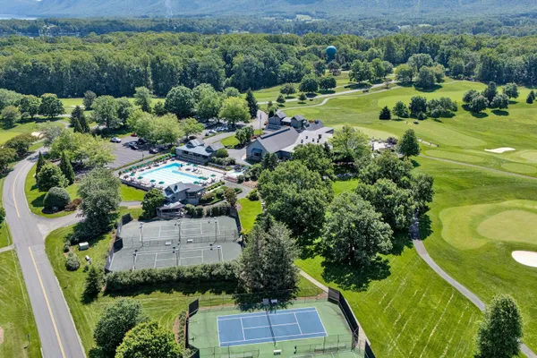 a view of a city with lush green forest