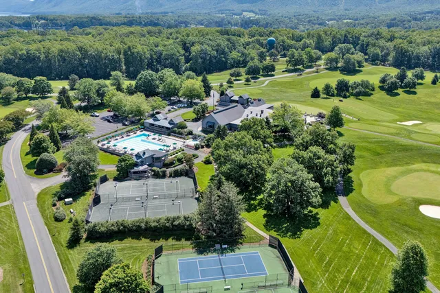 a view of a city with lush green forest