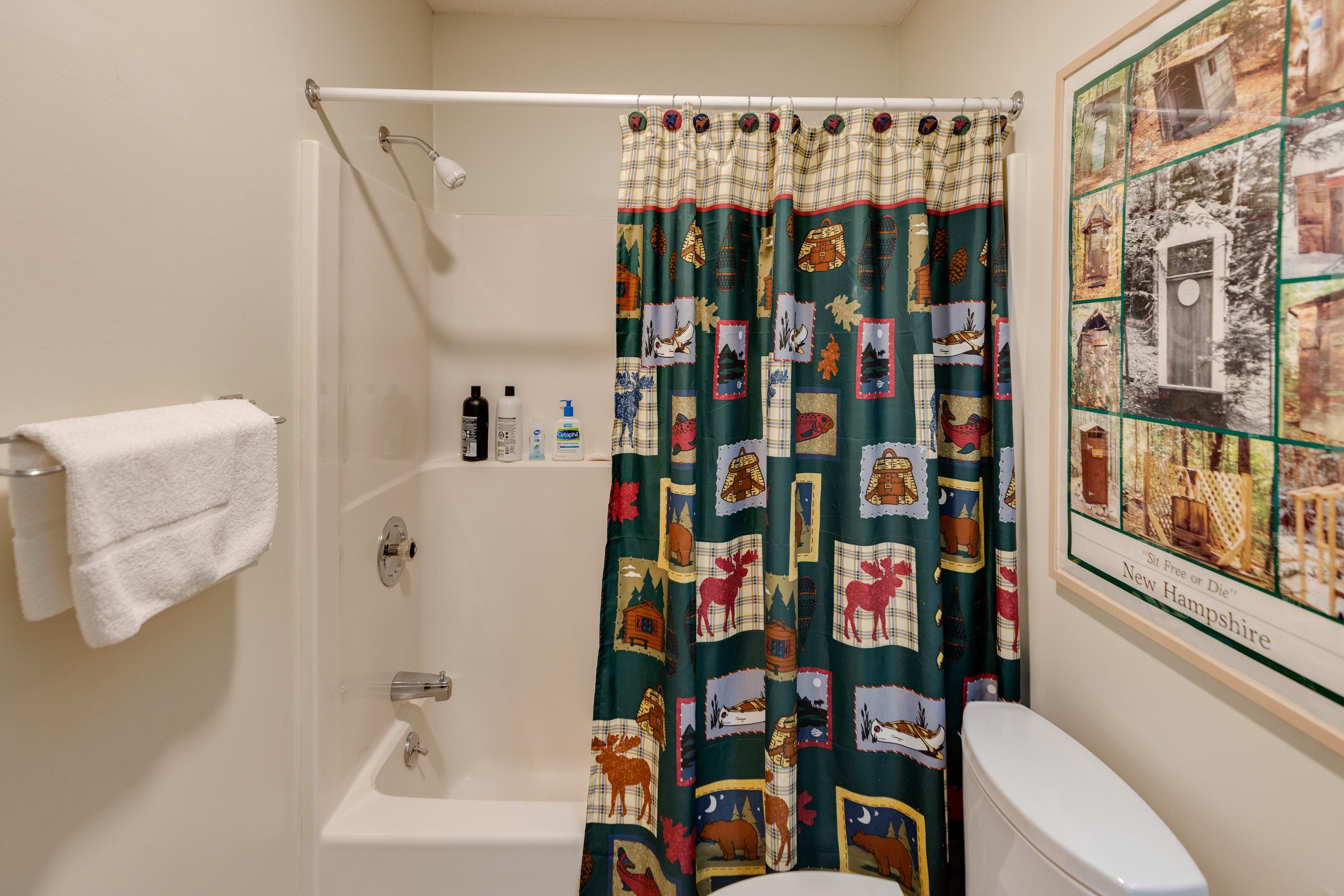 81 Clearbrook Road, Unit 2 Lincoln, NH 03251 - Photo 39 of 56