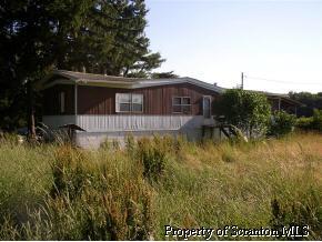 a view of a house with a small yard plants and large tree