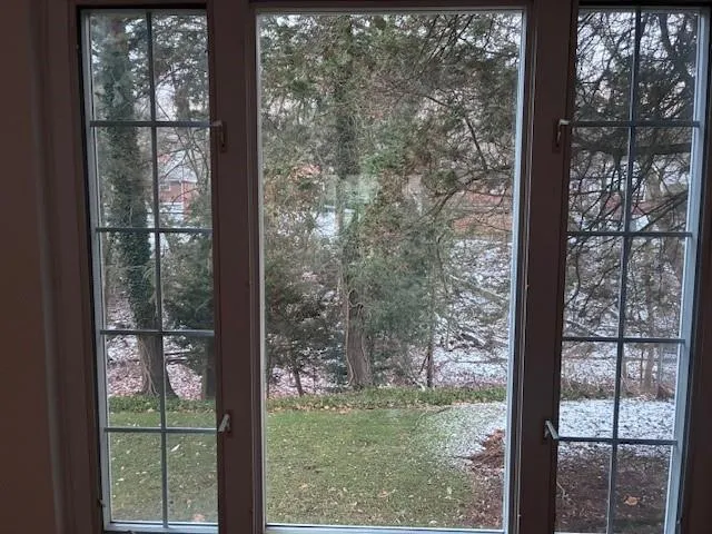 a view of backyard from window