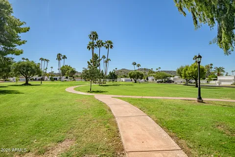 a view of a patio with garden and plants